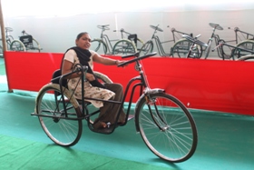 Disabledwomanonawheelchair
